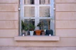 A collection of pastel-colored ceramic planters arranged on a windowsill