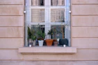 A collection of pastel-colored ceramic planters arranged on a windowsill