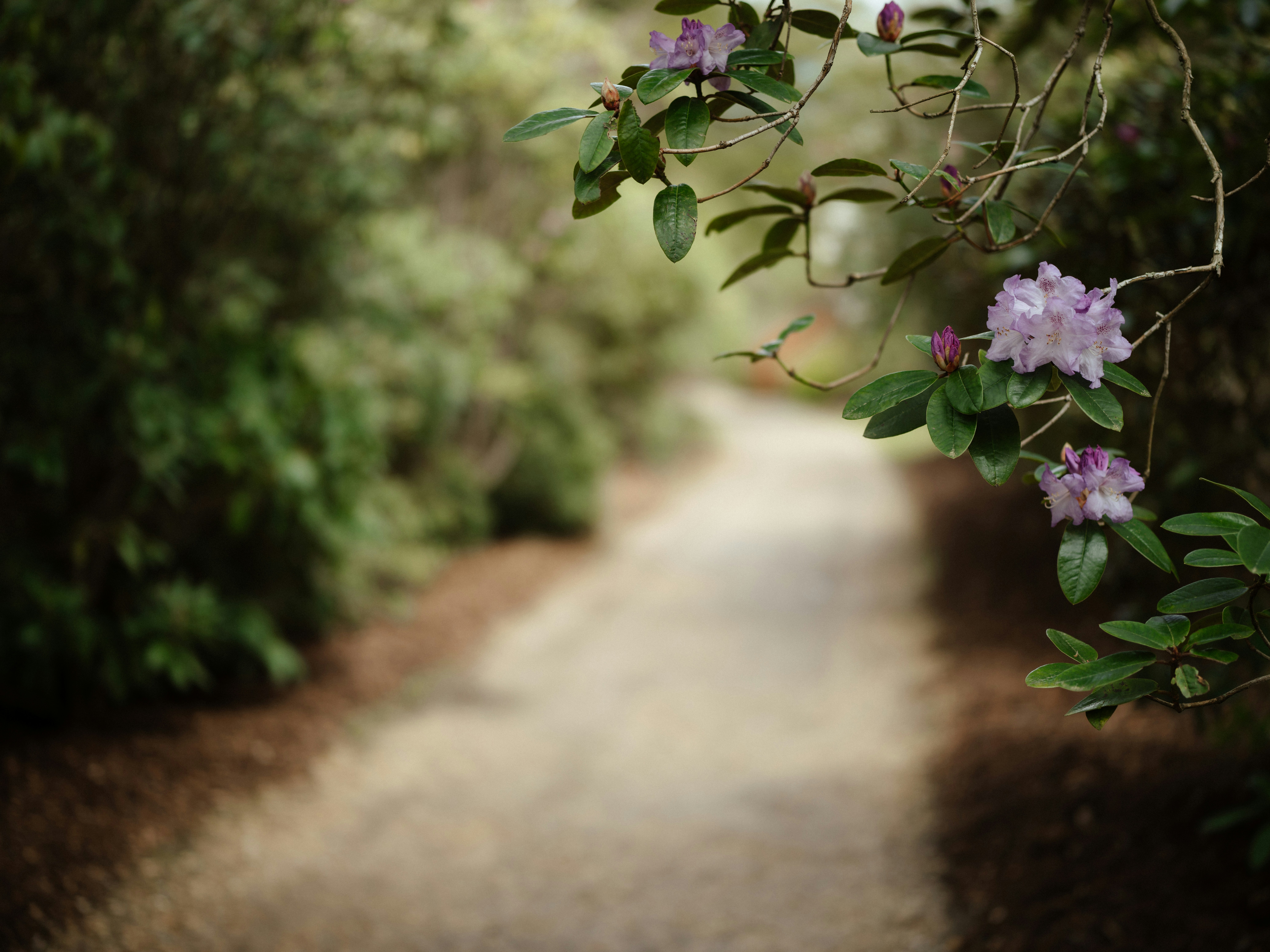 Photo by anniespratt