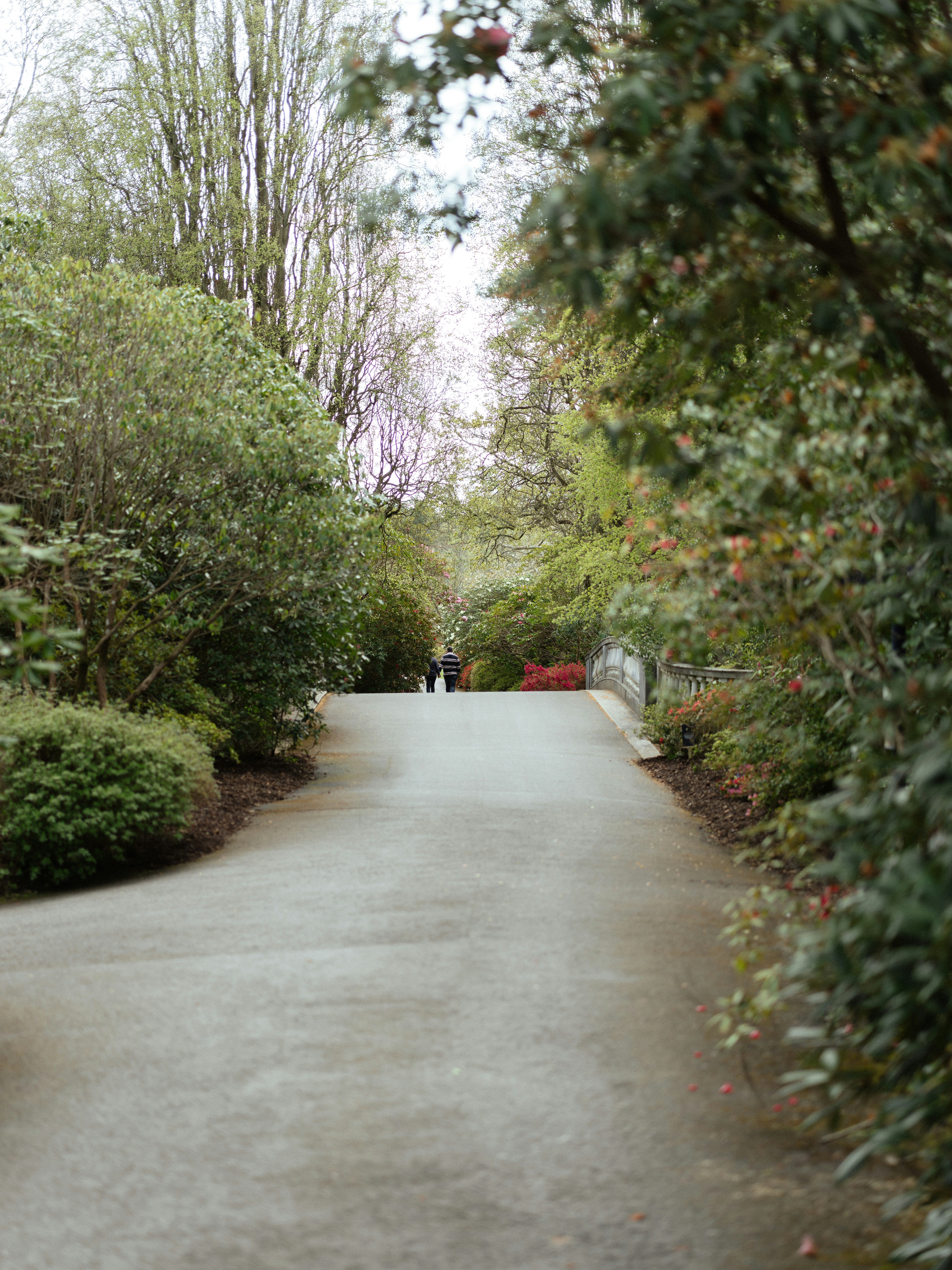 Photo by anniespratt