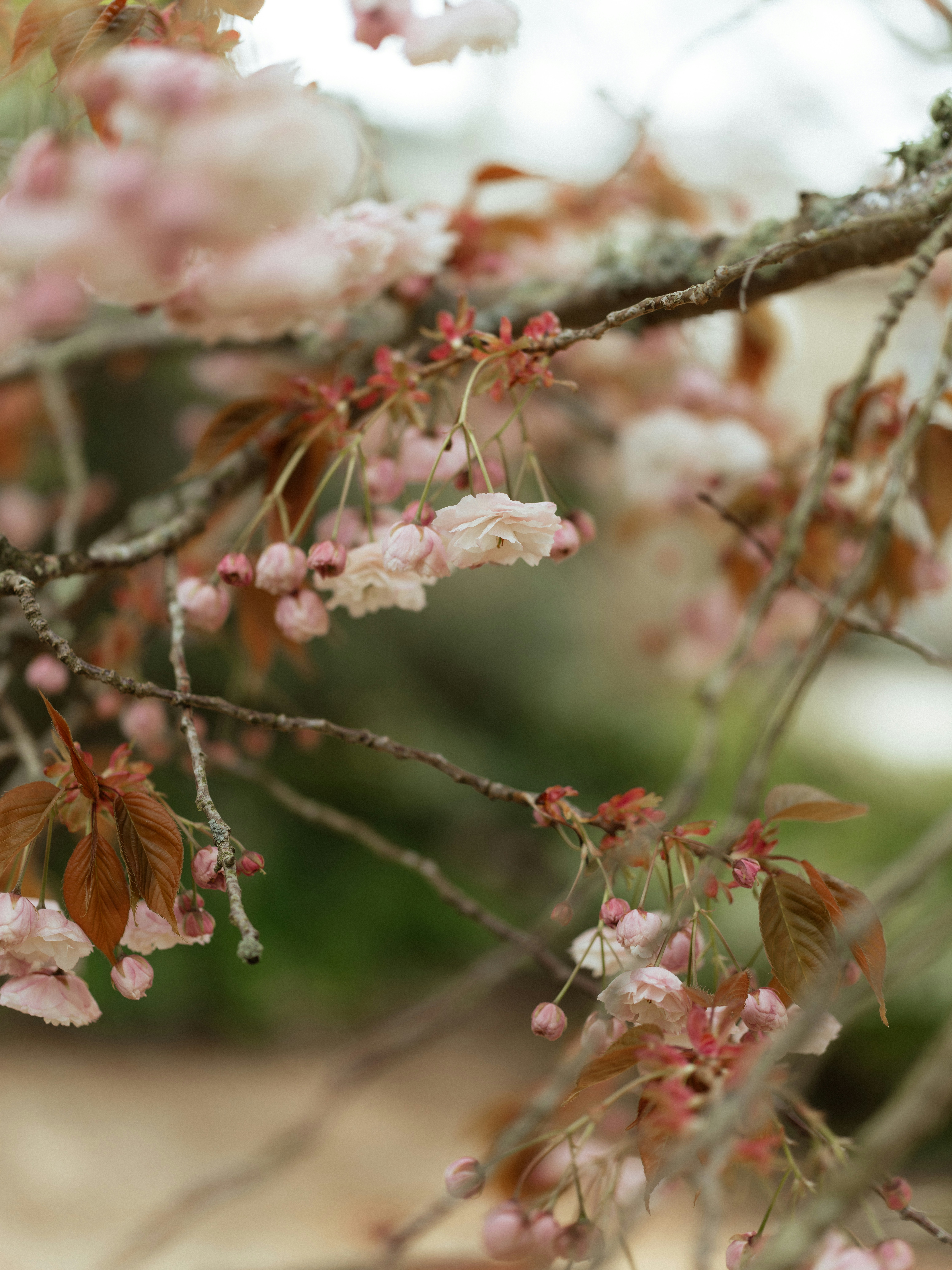 Photo by anniespratt