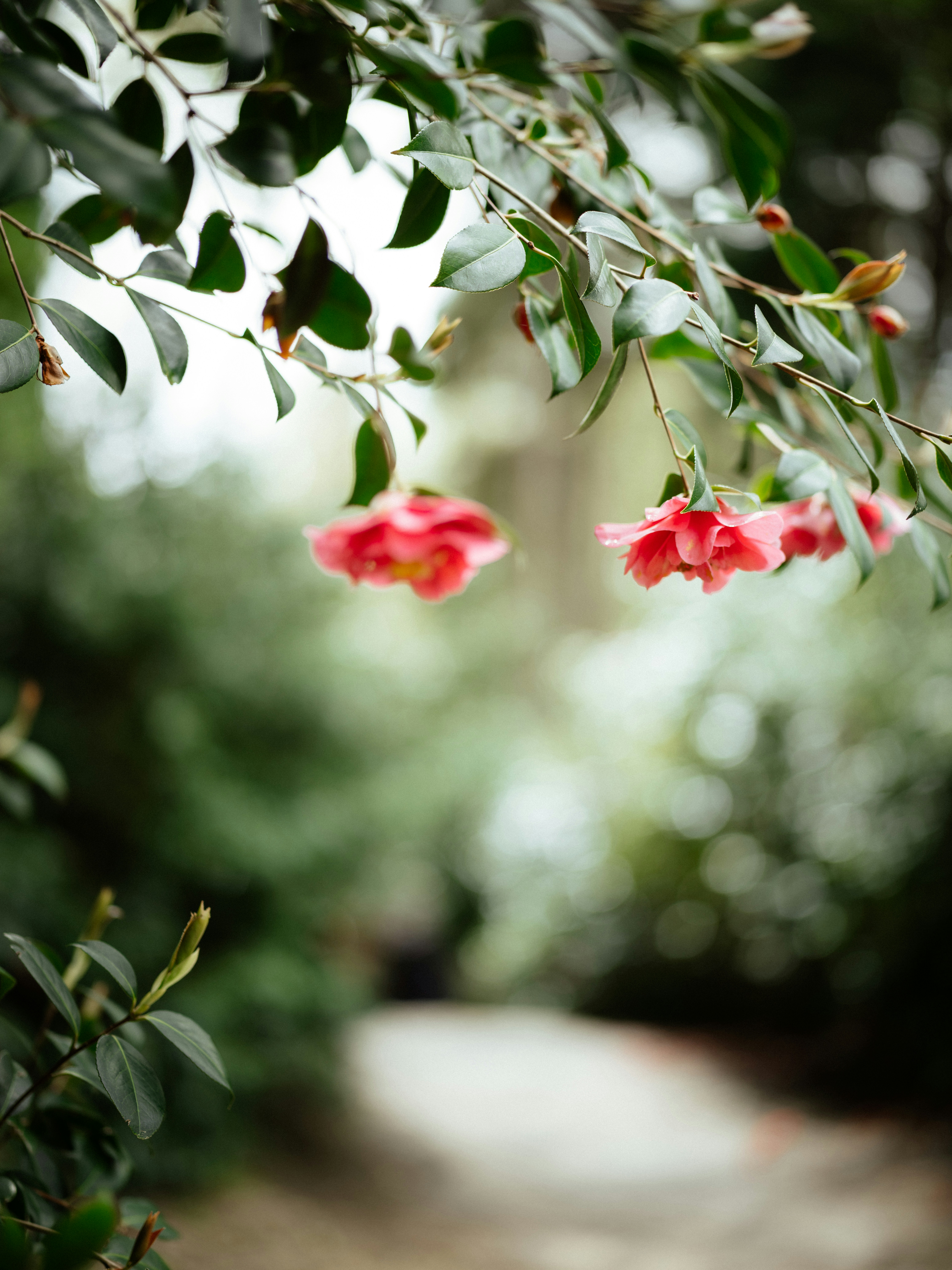 Photo by anniespratt