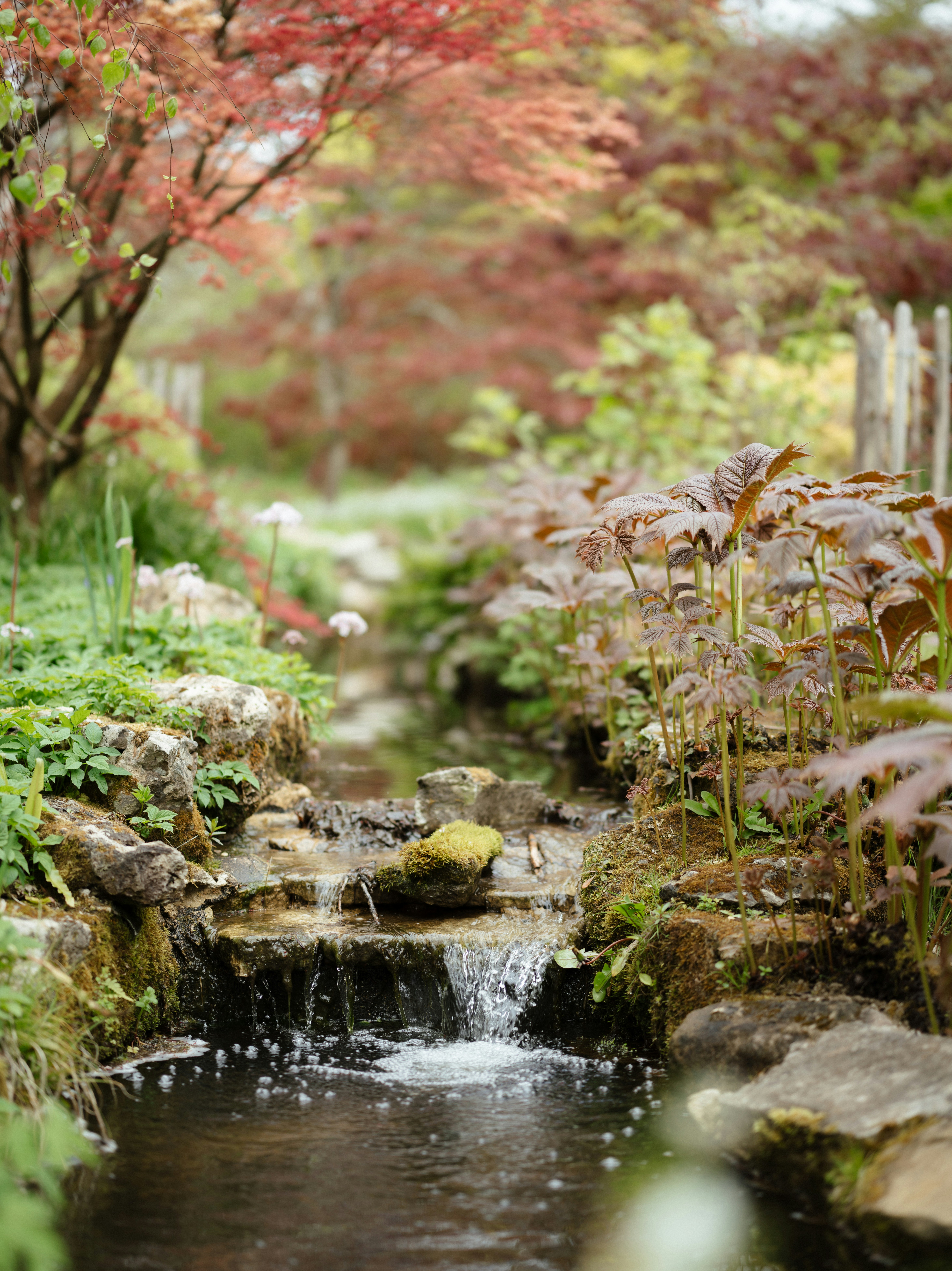 Photo by anniespratt