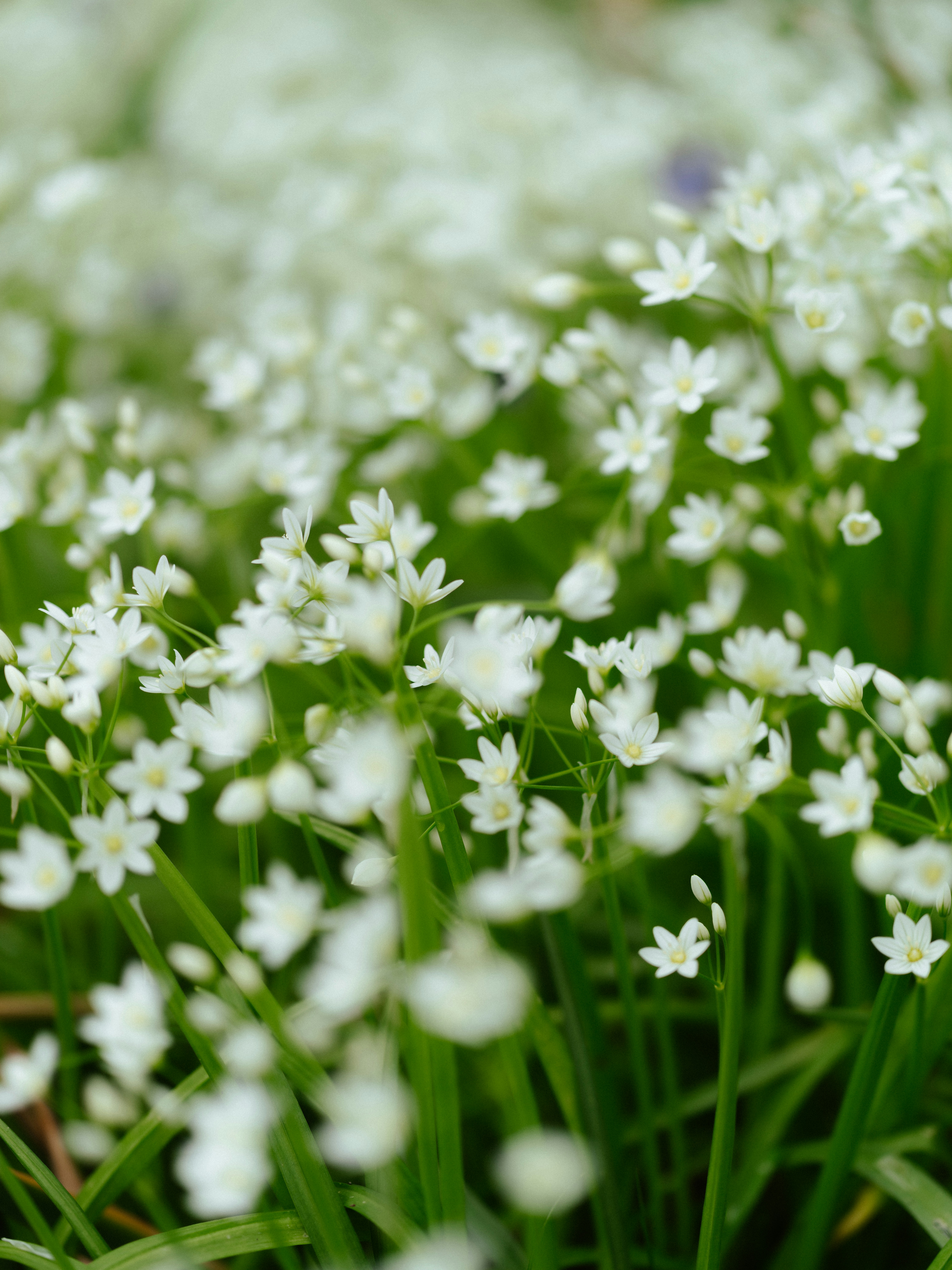 Photo by anniespratt