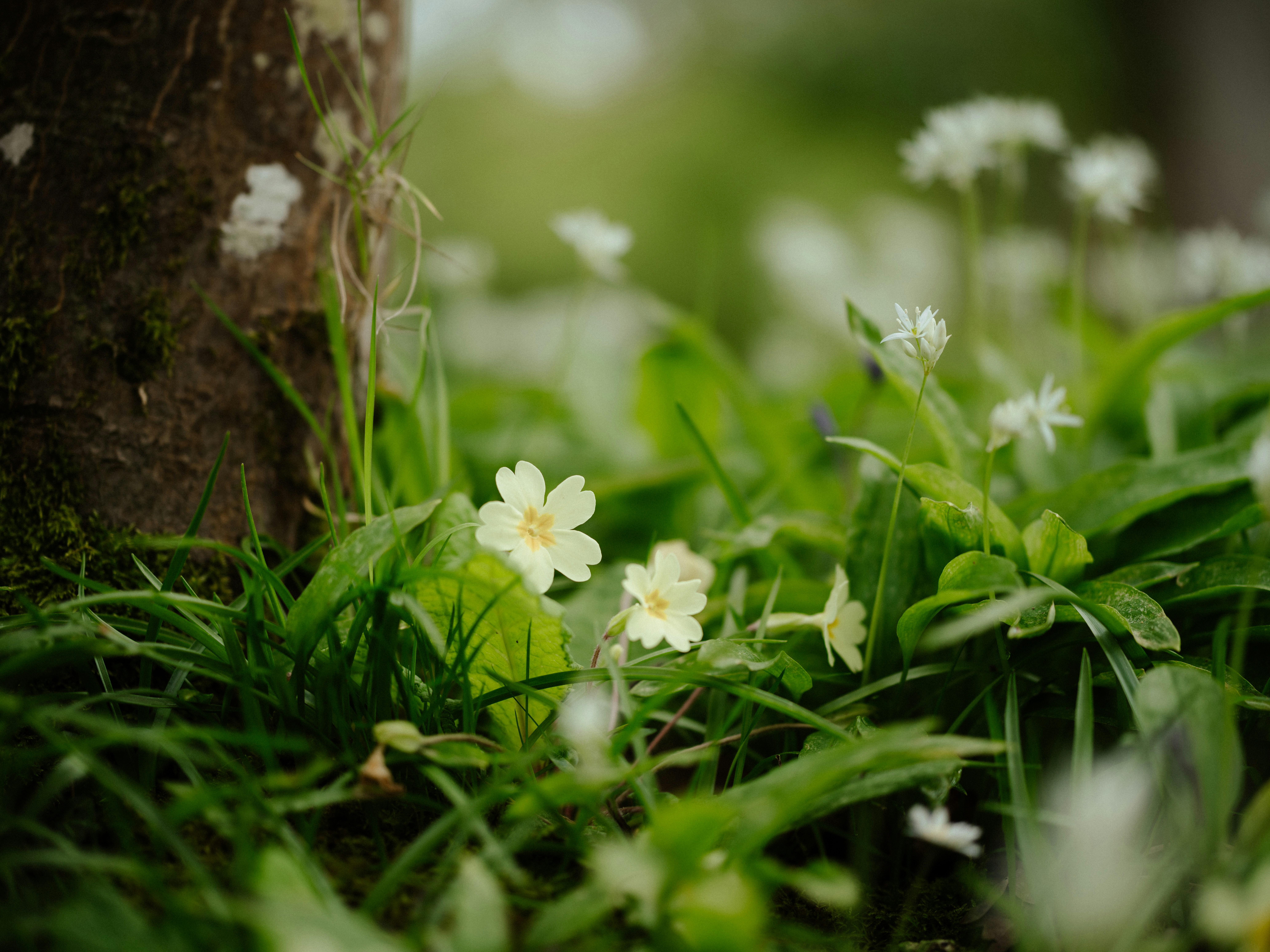 Photo by anniespratt