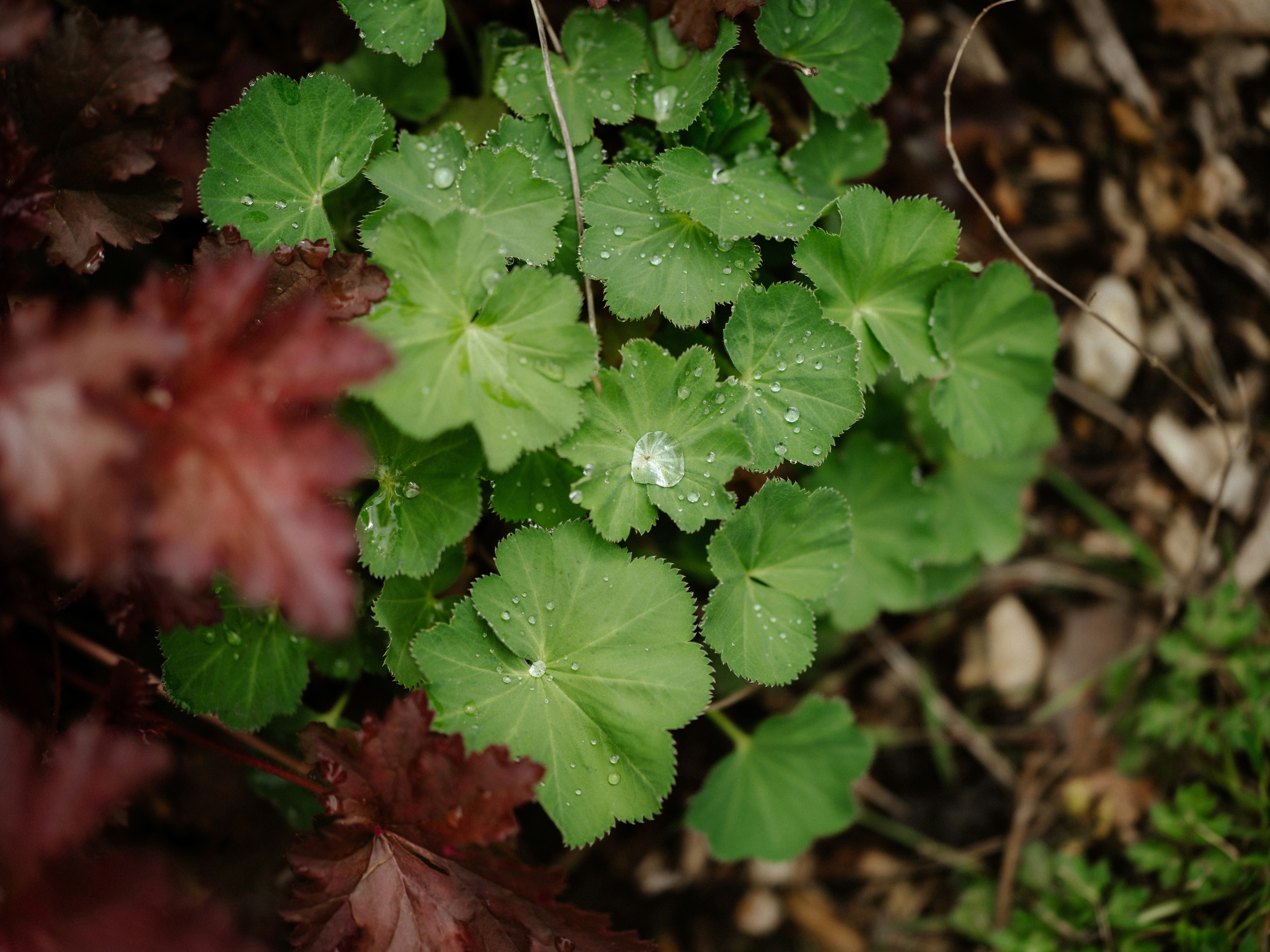 Photo by anniespratt