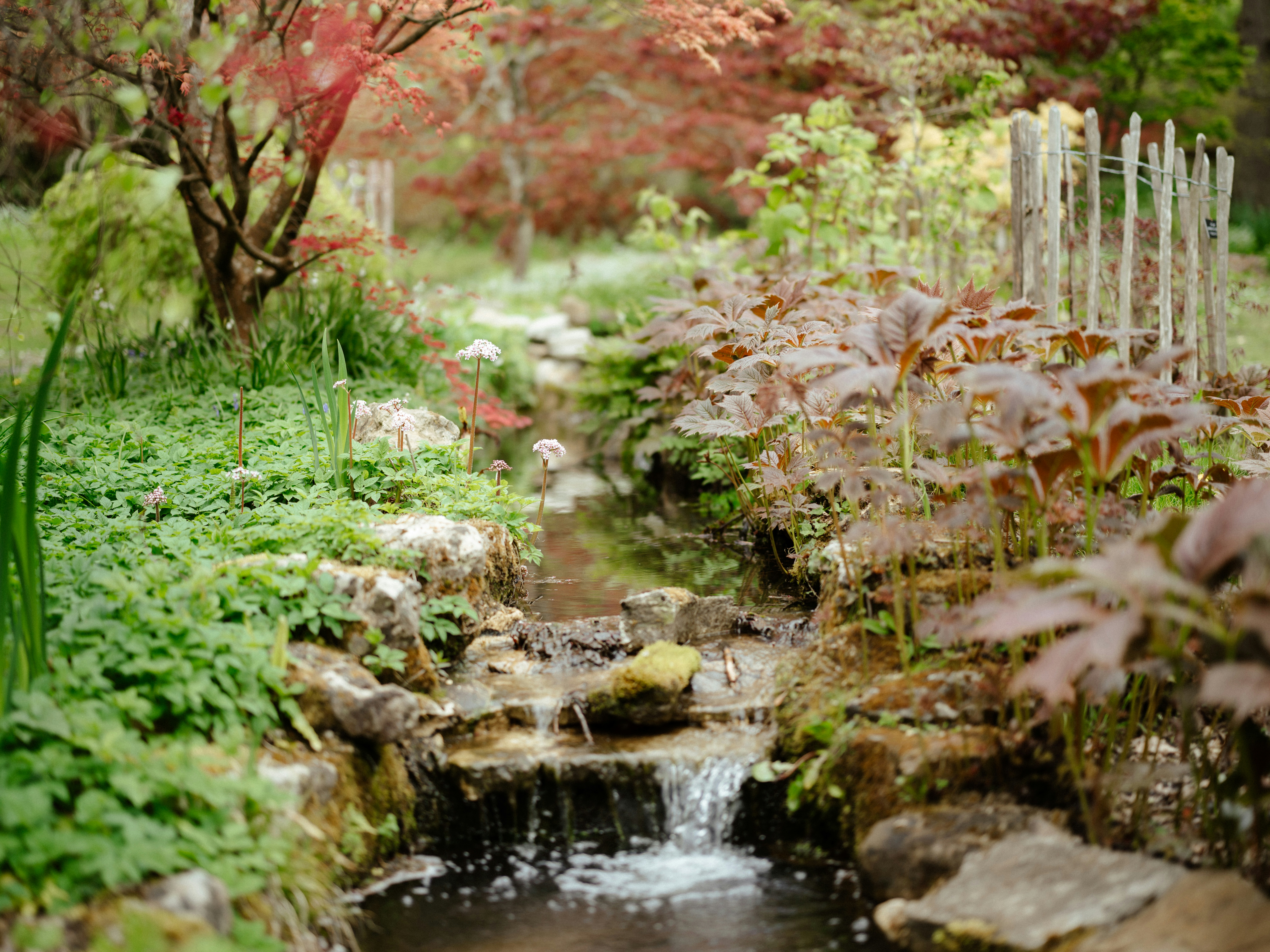 Photo by anniespratt