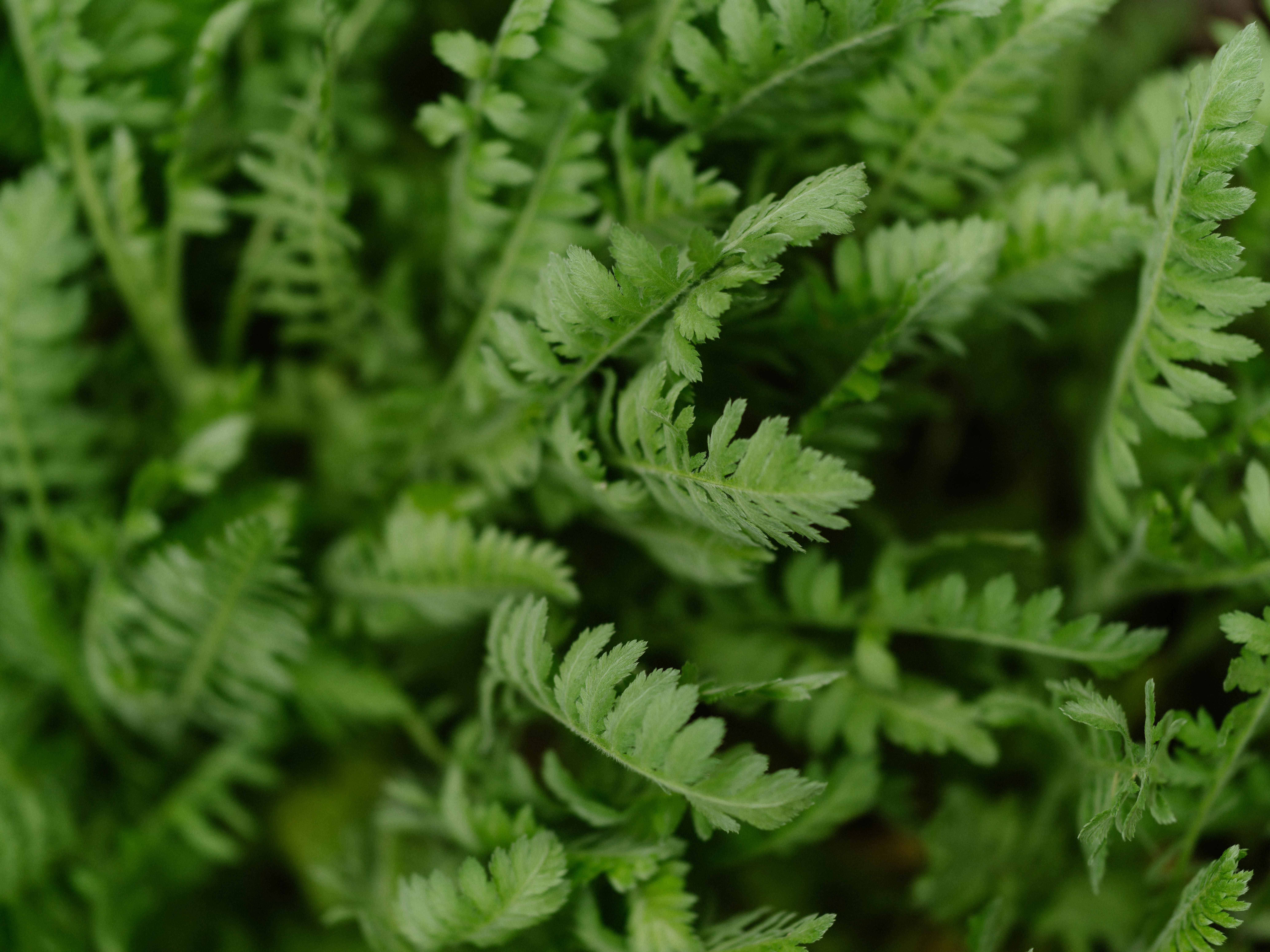 Photo by anniespratt