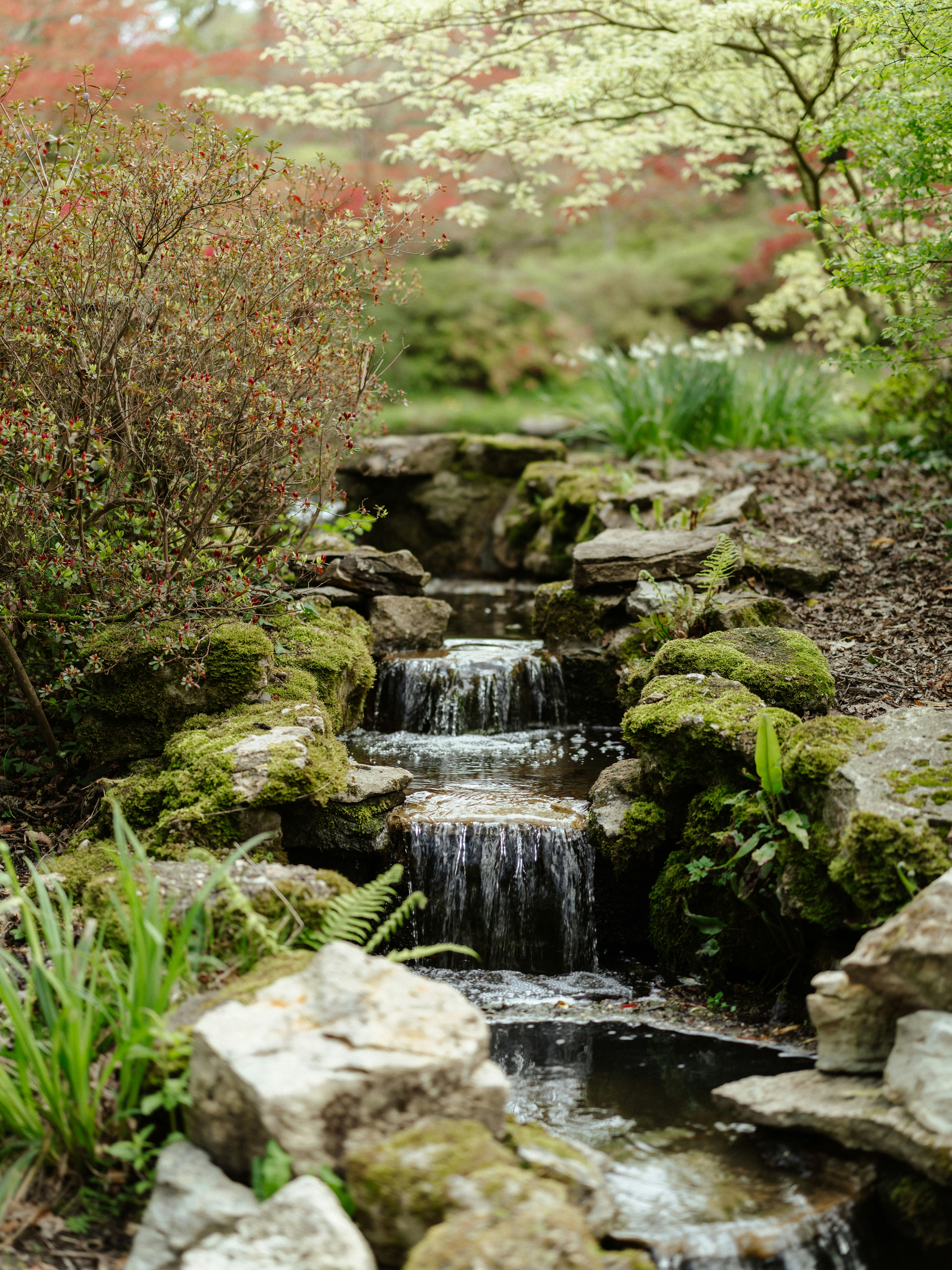 Photo by anniespratt