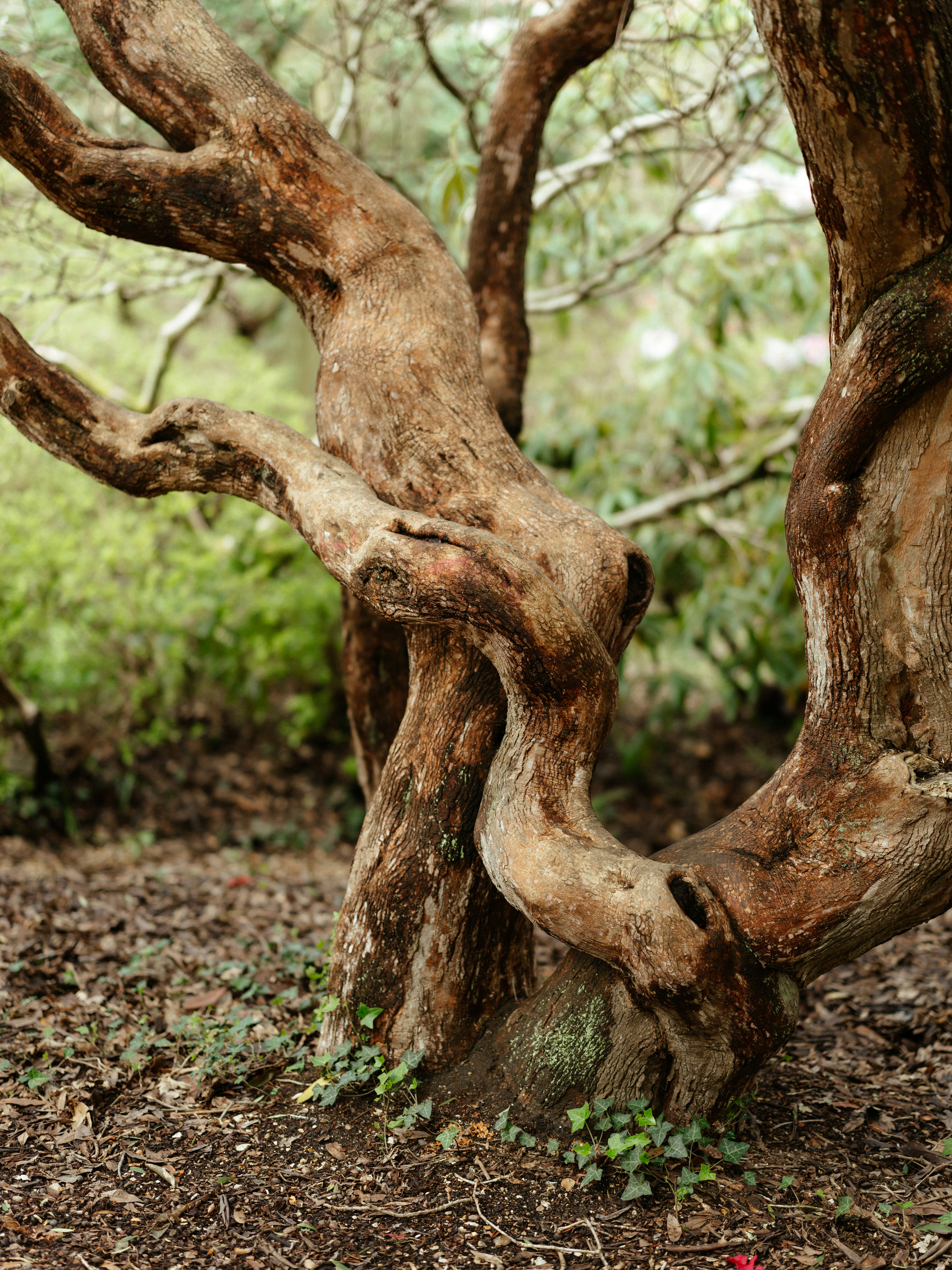 Photo by anniespratt