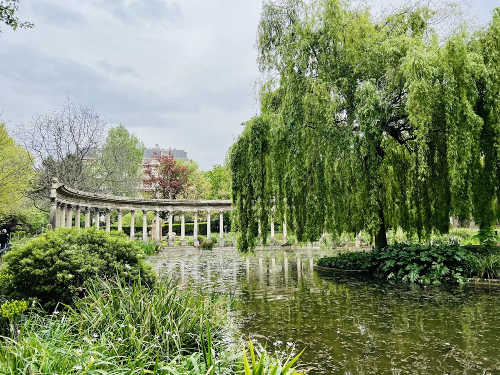 a pond with a bridge in the background