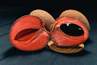 a close up of a piece of fruit on a wooden stand