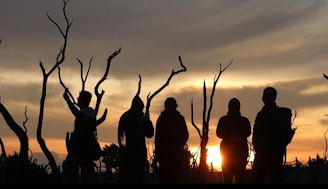 A warm portrait of the vekko experience team standing against a backdrop of acacia trees at sunset.