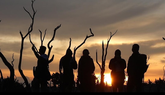 A warm portrait of the vekko experience team standing against a backdrop of acacia trees at sunset.