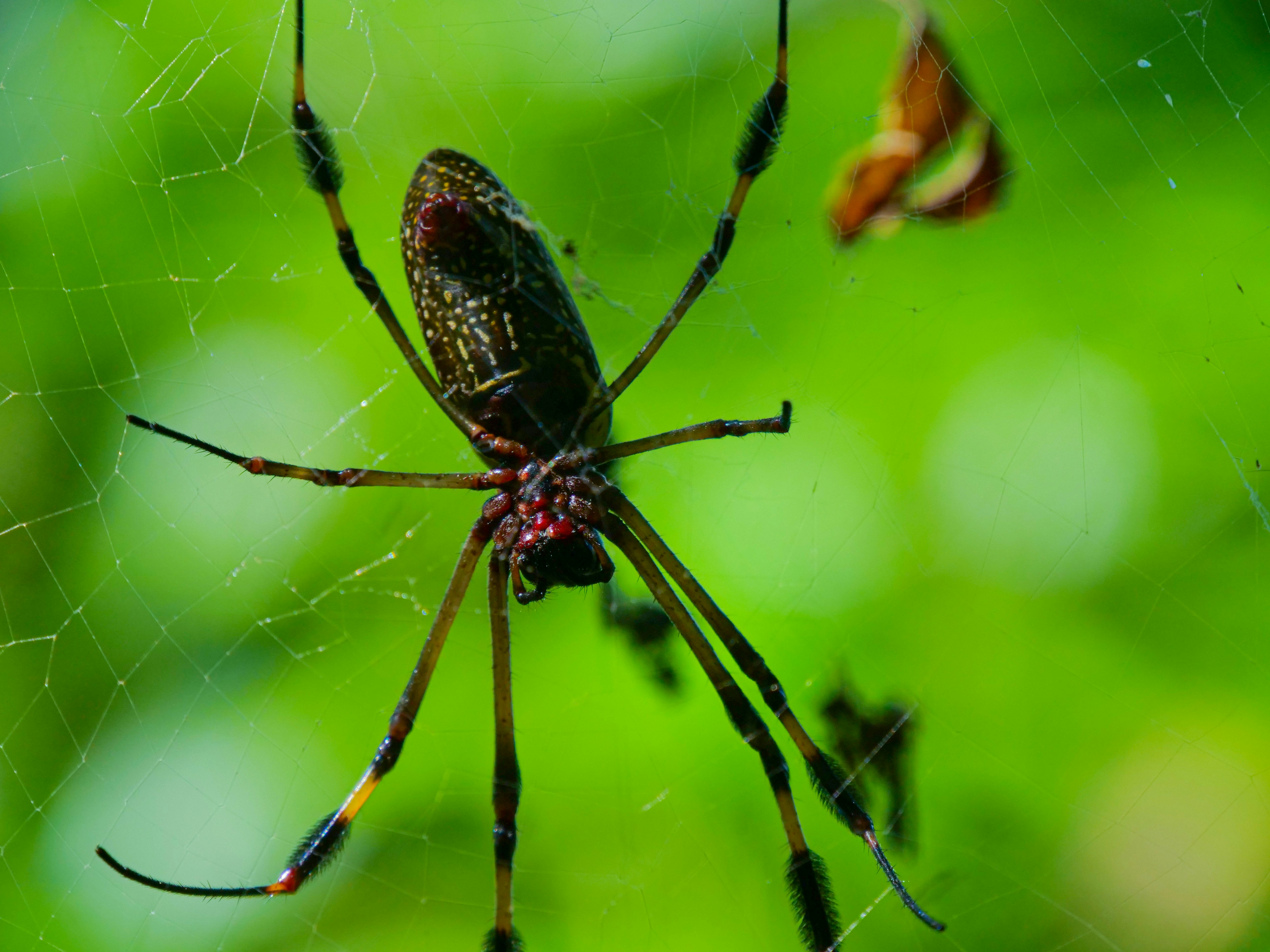 Photo by florian_delee