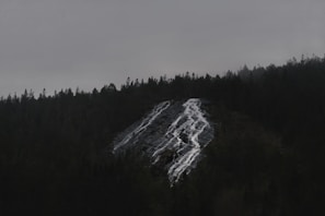 A dark, moody landscape featuring a forested mountain with a rocky cliff. Water trickles down the cliff, creating a thin waterfall. Overcast skies enhance the mysterious ambiance.