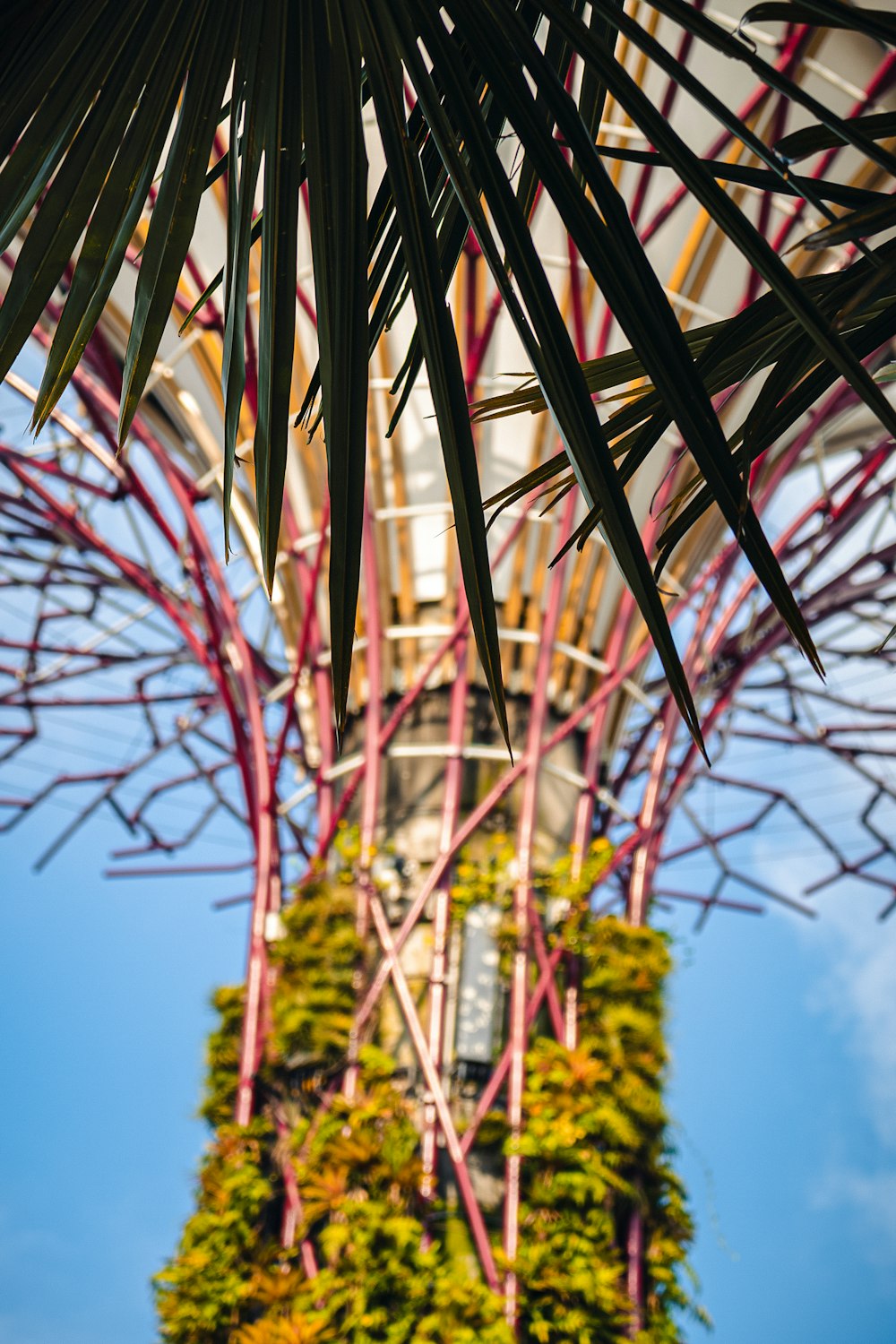 a palm tree with a tower in the background