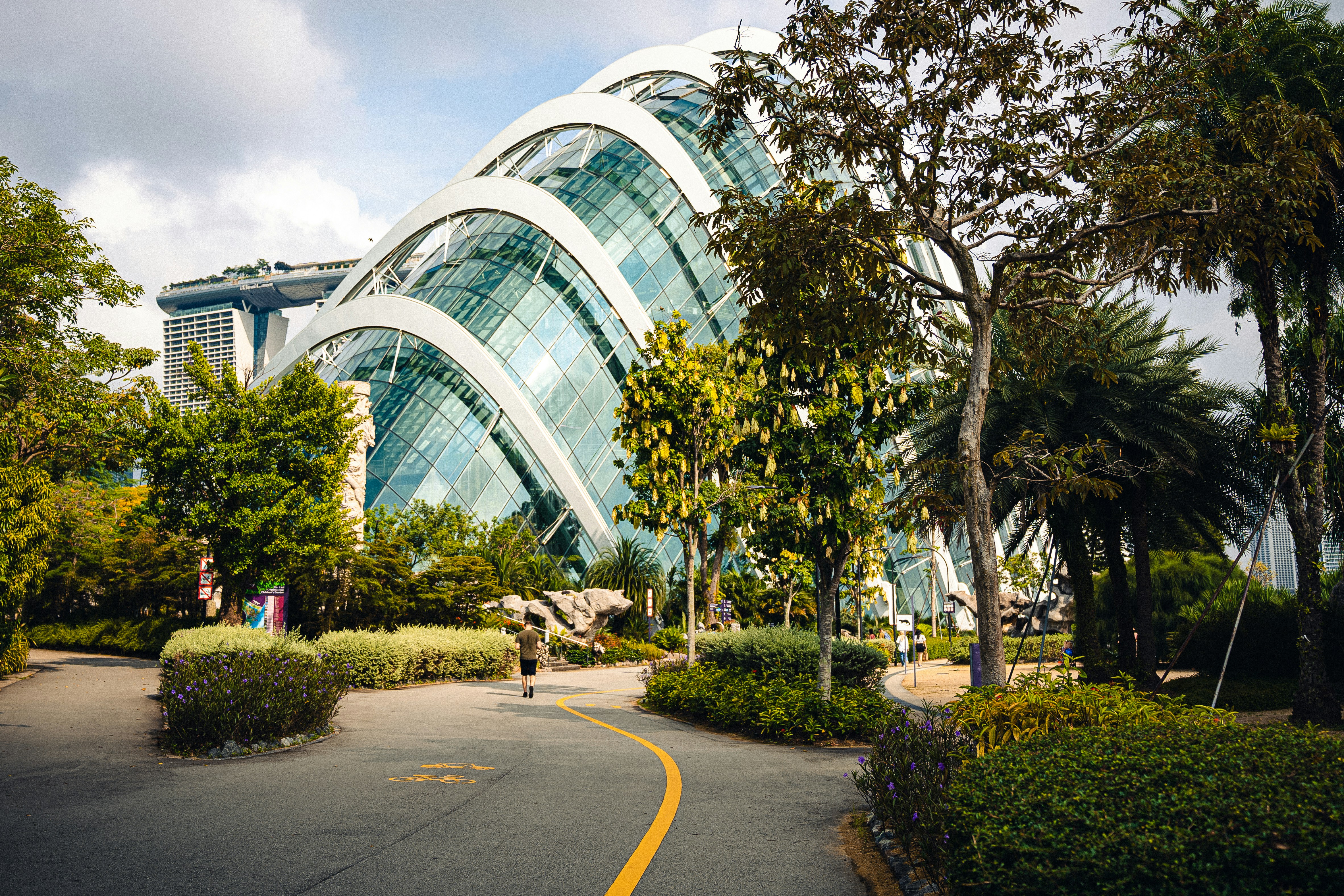 Photo by jaydraws2019