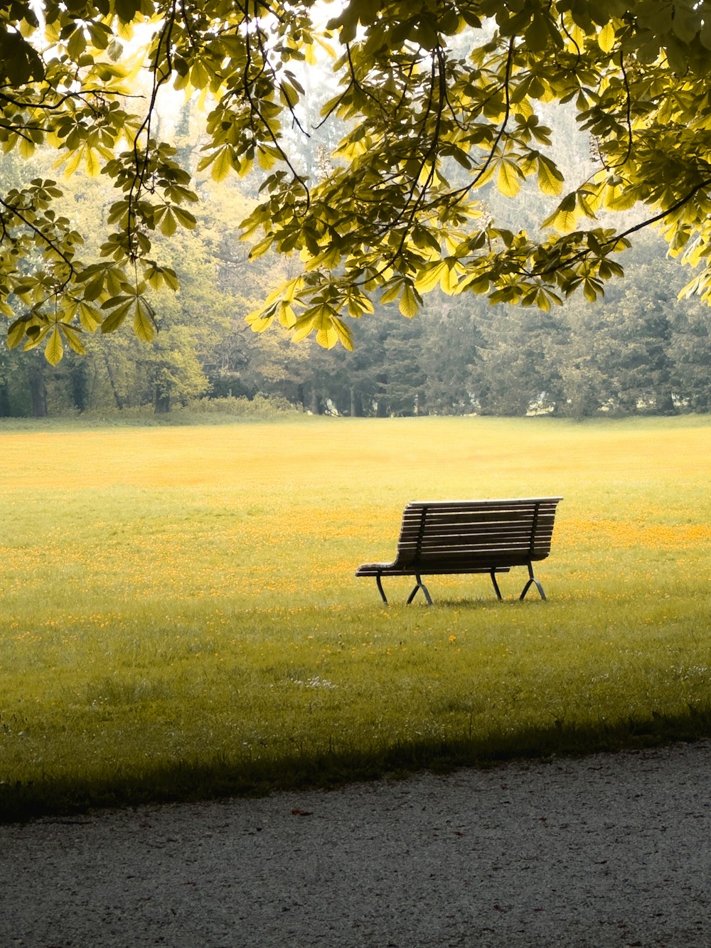 a park bench sitting in the middle of a field