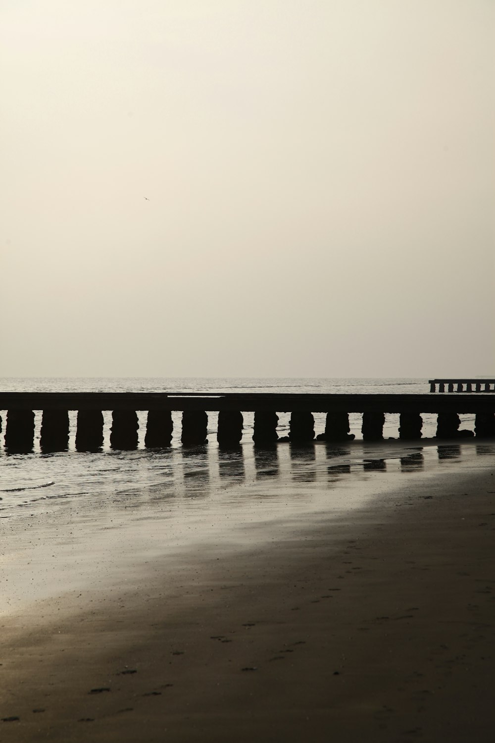 a person walking on a beach next to the ocean