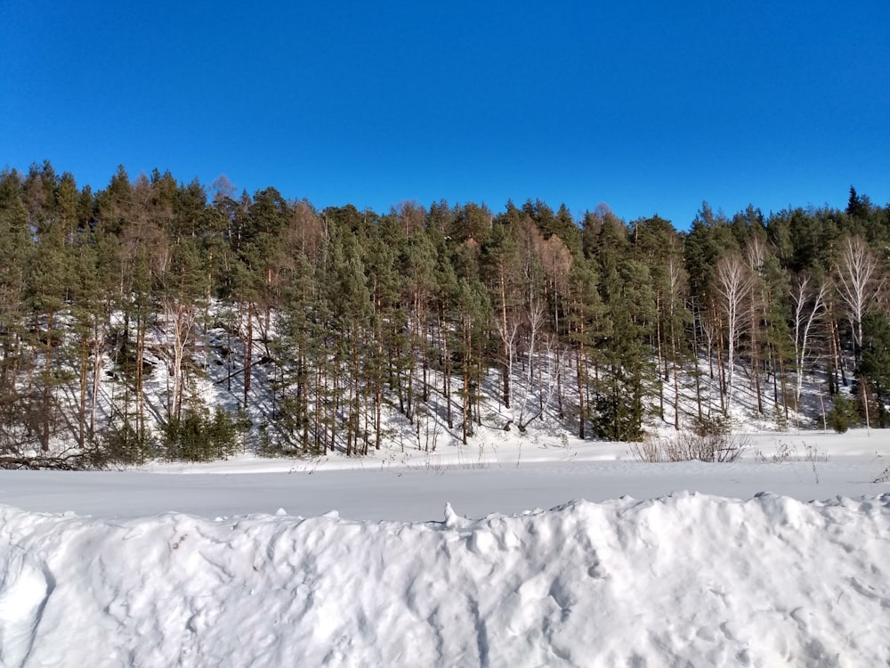 a person riding skis on a snowy surface