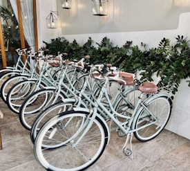 A row of vintage-style bicycles with white frames and brown leather seats is neatly lined up against a backdrop of lush green foliage. The space is illuminated by modern, minimalist hanging lanterns. The overall setting appears to be indoors, with a tiled floor and a wooden door partially visible.