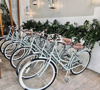 A row of vintage-style bicycles with white frames and brown leather seats is neatly lined up against a backdrop of lush green foliage. The space is illuminated by modern, minimalist hanging lanterns. The overall setting appears to be indoors, with a tiled floor and a wooden door partially visible.