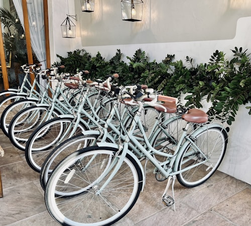 A row of vintage-style bicycles with white frames and brown leather seats is neatly lined up against a backdrop of lush green foliage. The space is illuminated by modern, minimalist hanging lanterns. The overall setting appears to be indoors, with a tiled floor and a wooden door partially visible.