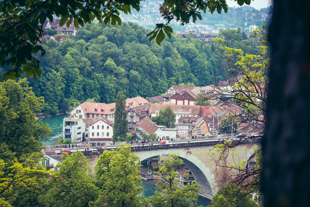 a bridge over a river surrounded by lush green trees