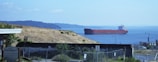 A large cargo ship is sailing on a calm body of blue water. In the foreground, a grassy hillside descends to the shore. There is a sign for Tacoma Narrows Federal Credit Union, along with some fencing and other industrial structures. The distant background features a low, distant coastline covered with trees.
