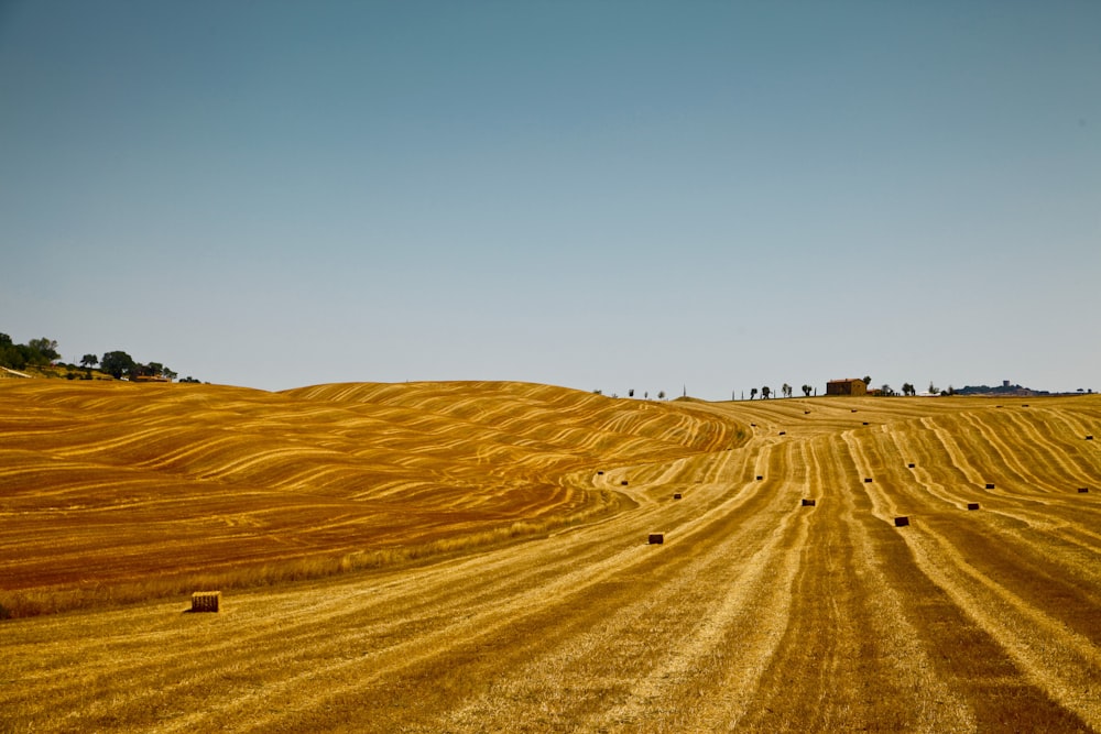 a field of hay with bales of hay in the foreground