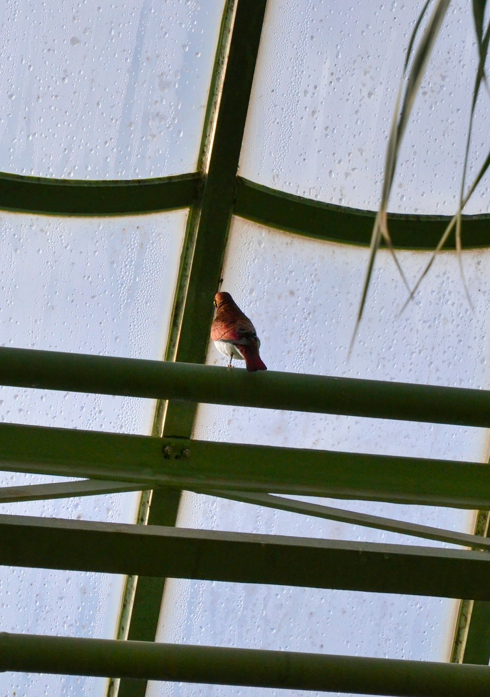 a small bird perched on top of a metal structure