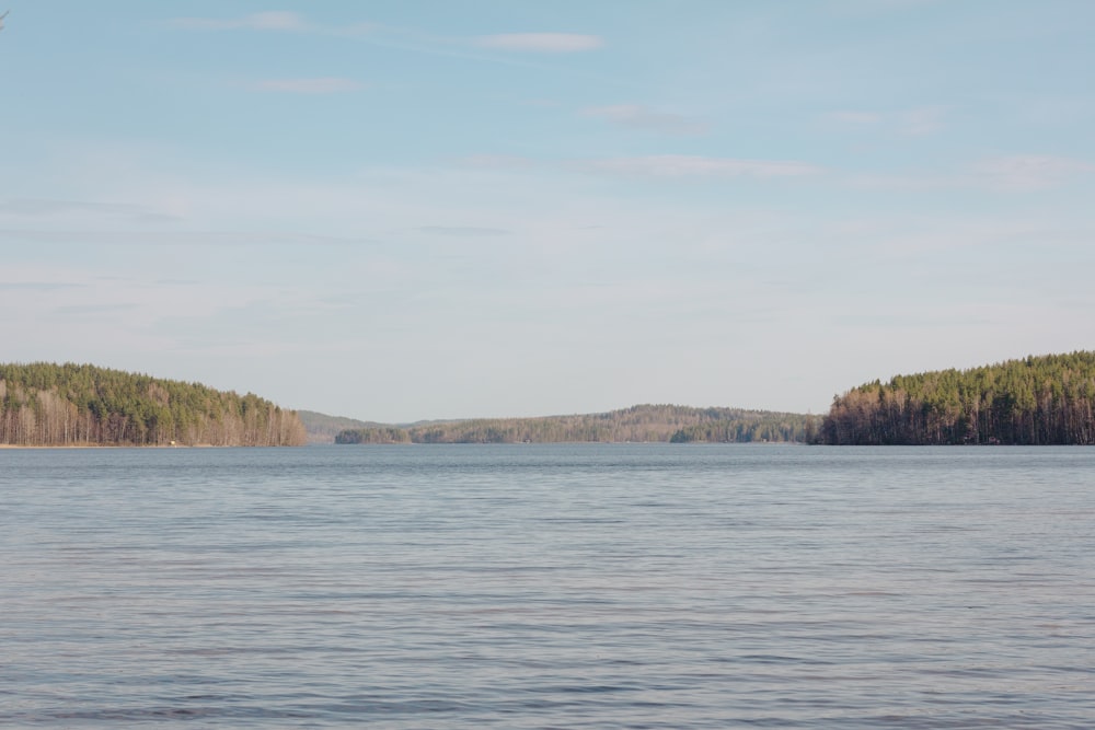 a large body of water surrounded by trees