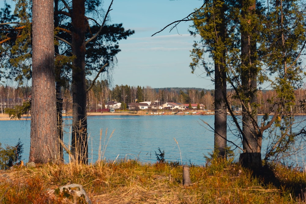 a body of water surrounded by trees and grass