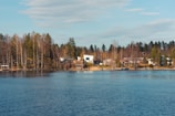 A serene lakeside scene featuring a cluster of houses nestled among tall birch and pine trees. The water in the foreground is calm, reflecting the clear blue sky. The area is quiet and natural, with a few modern houses dotting the shoreline.