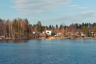 A serene lakeside scene featuring a cluster of houses nestled among tall birch and pine trees. The water in the foreground is calm, reflecting the clear blue sky. The area is quiet and natural, with a few modern houses dotting the shoreline.