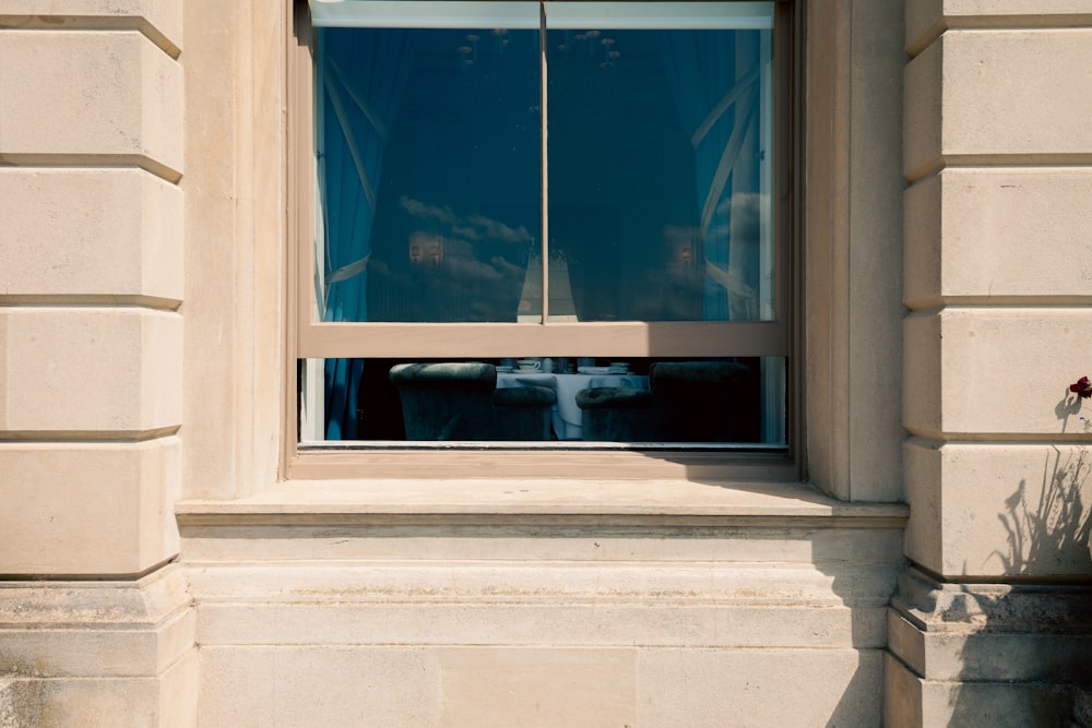 a cat sitting in a window sill next to a plant