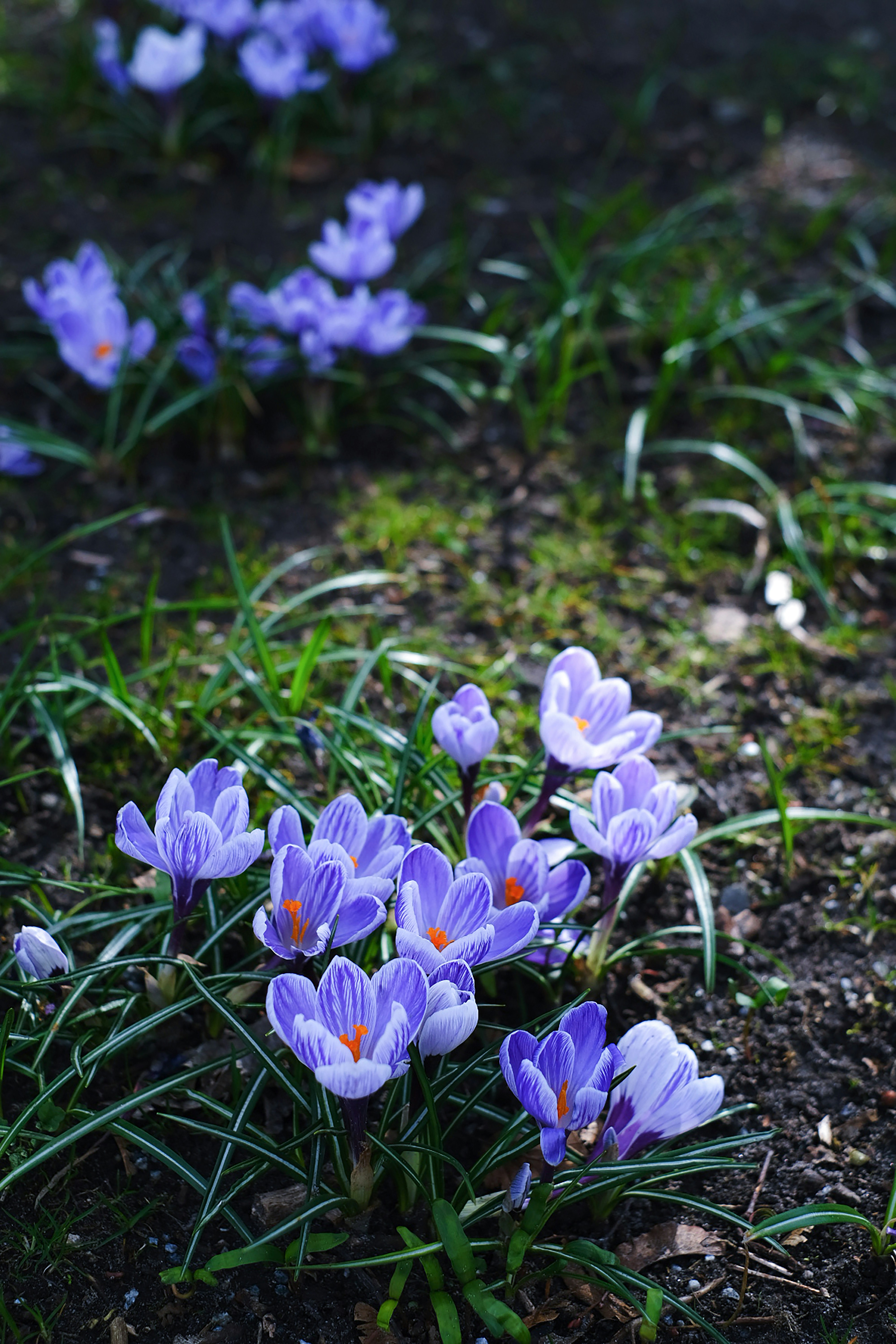Photo by miatruong