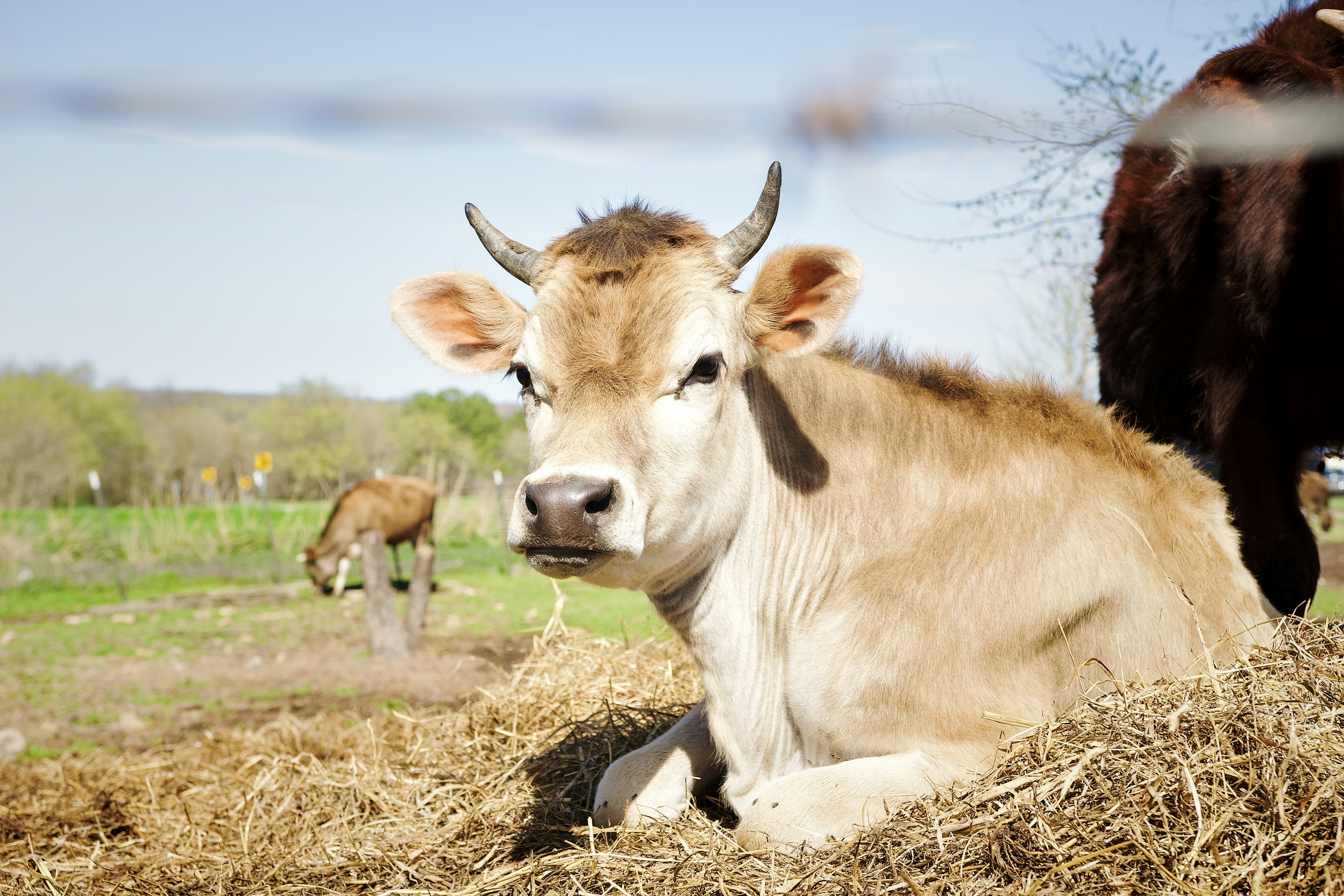 Photo by minimdesignco