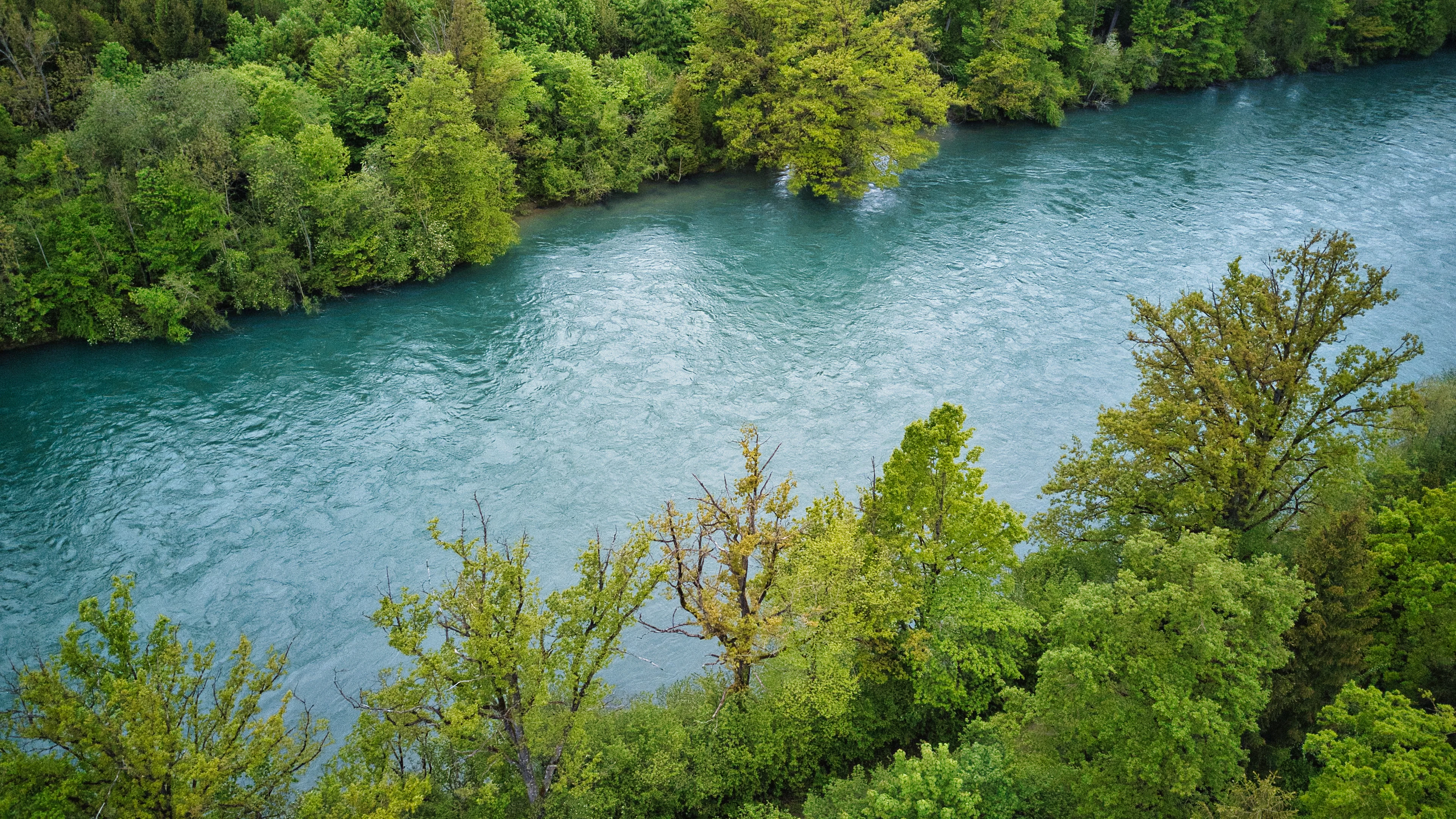 The Aare flowing between forested green banks near Bern