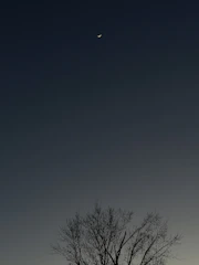 Elegant minimalist illustration of a calm woman in a circle with crescent moon and stars