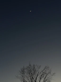 Elegant minimalist illustration of a calm woman in a circle with crescent moon and stars