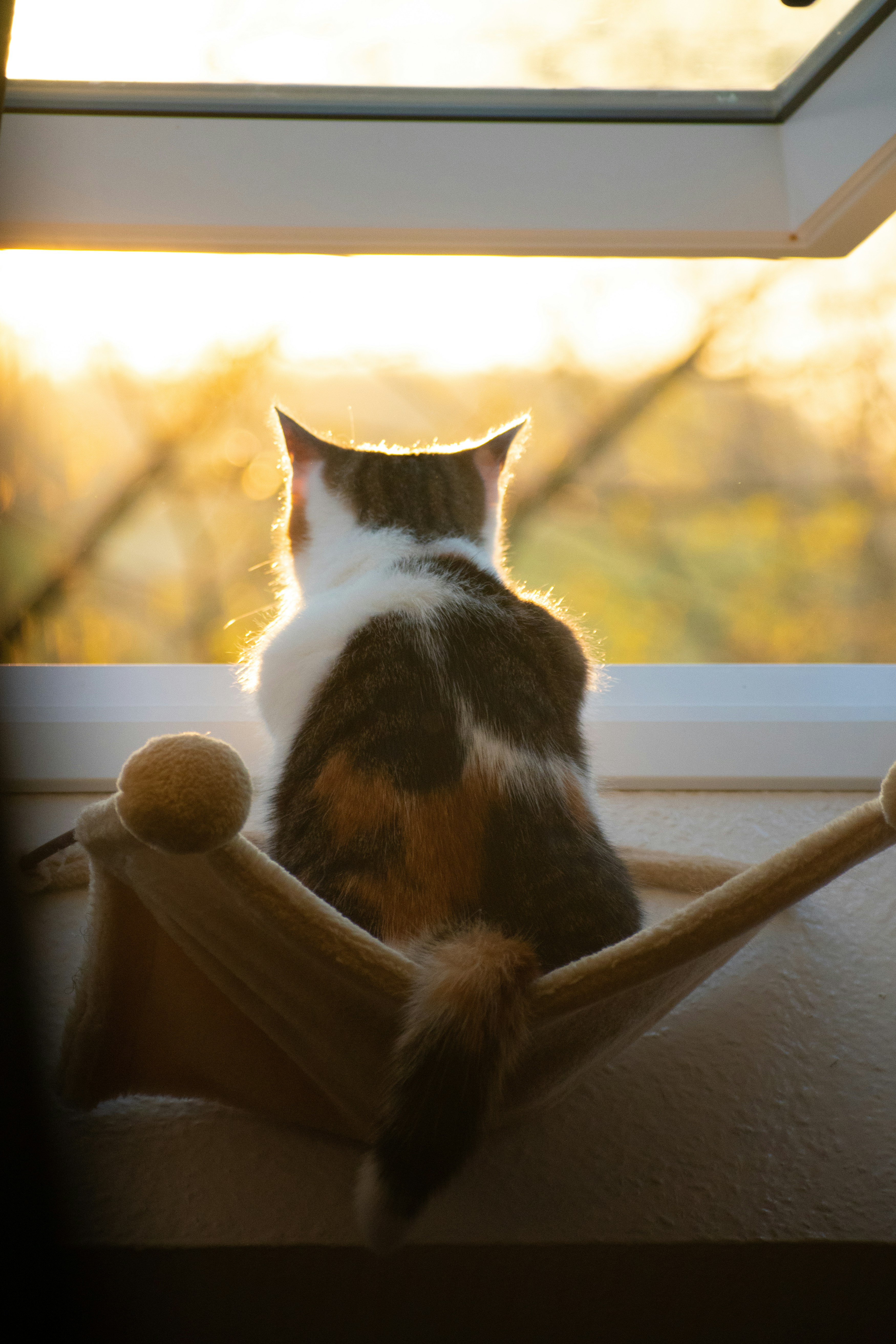 Photo by felixfpunkt