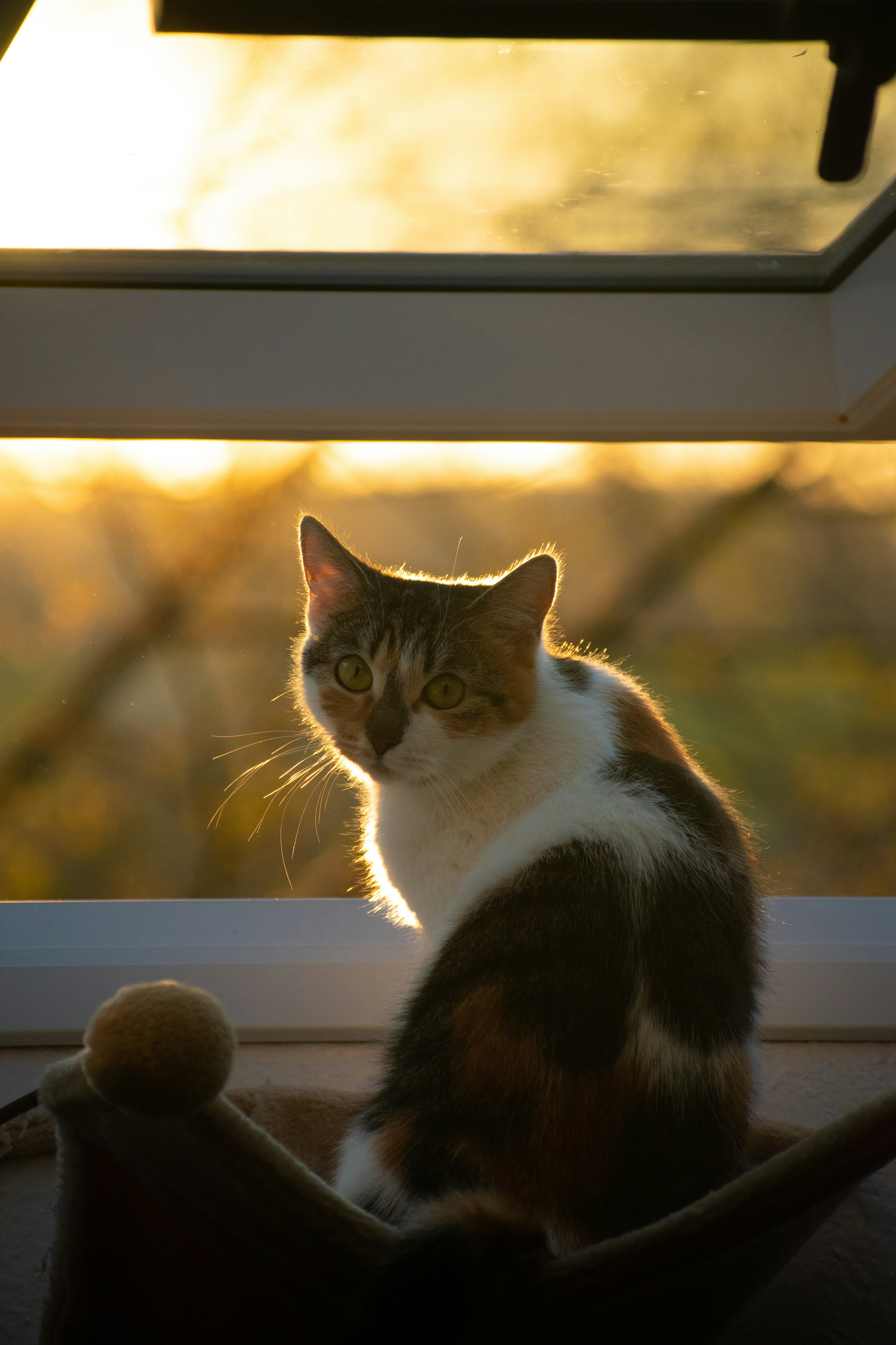 Photo by felixfpunkt