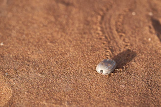 a small rock sitting on top of a sandy beach