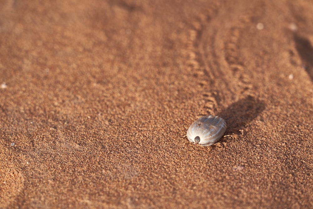 a small rock sitting on top of a sandy beach