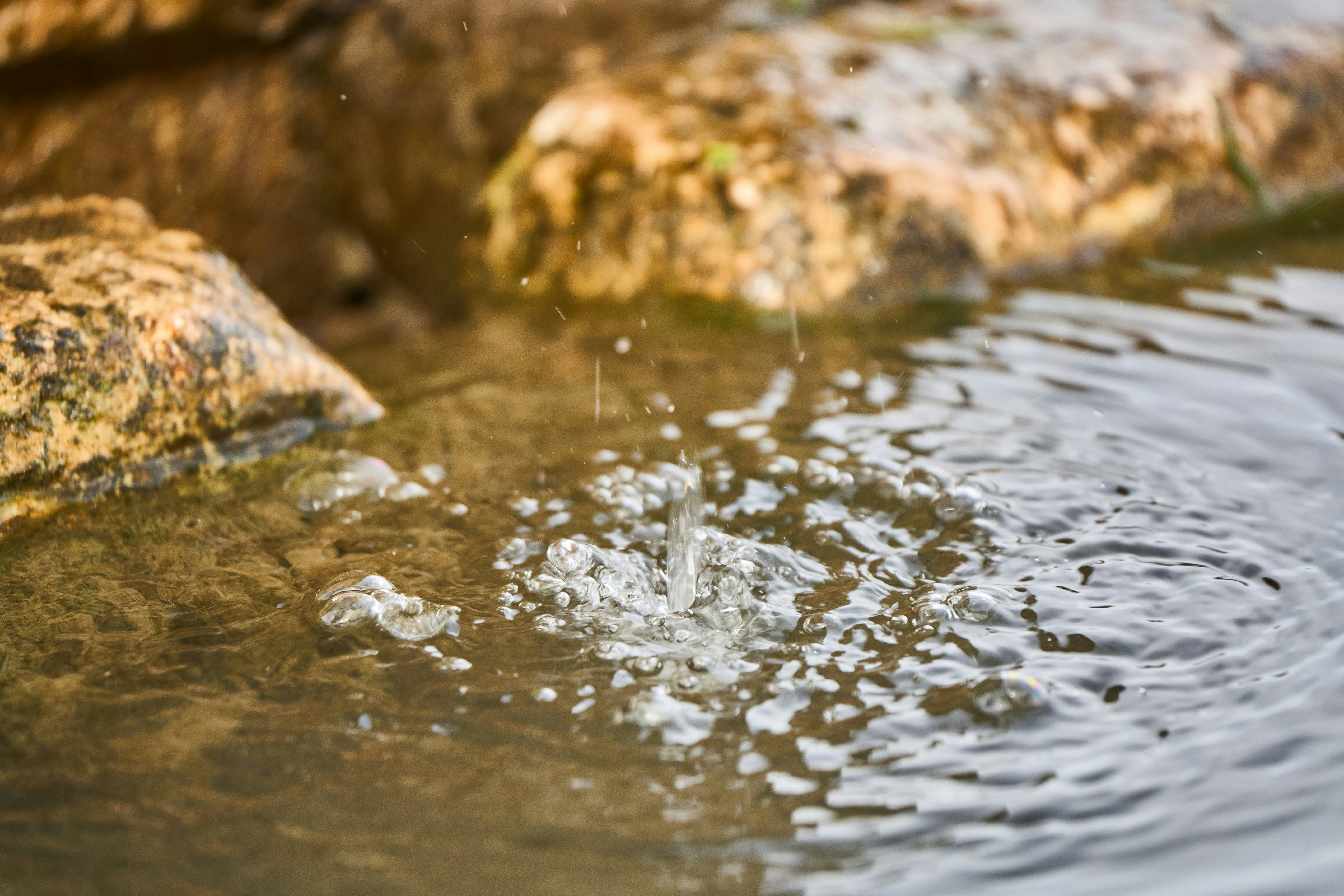 Photo by wolfgang_hasselmann