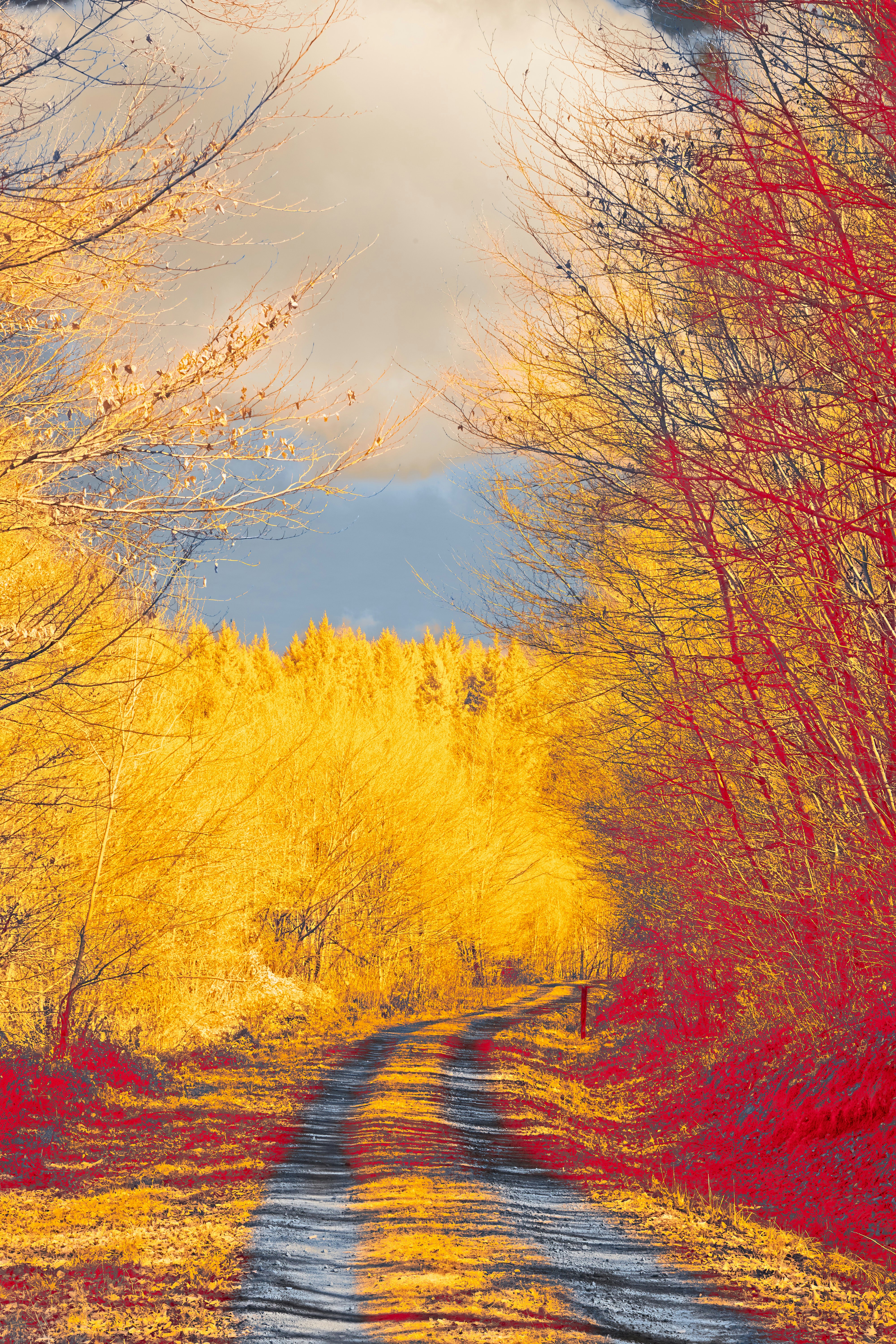 Photo by wolfgang_hasselmann