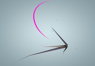 Abstract digital art from other creative experiments by Matías Muñoz.