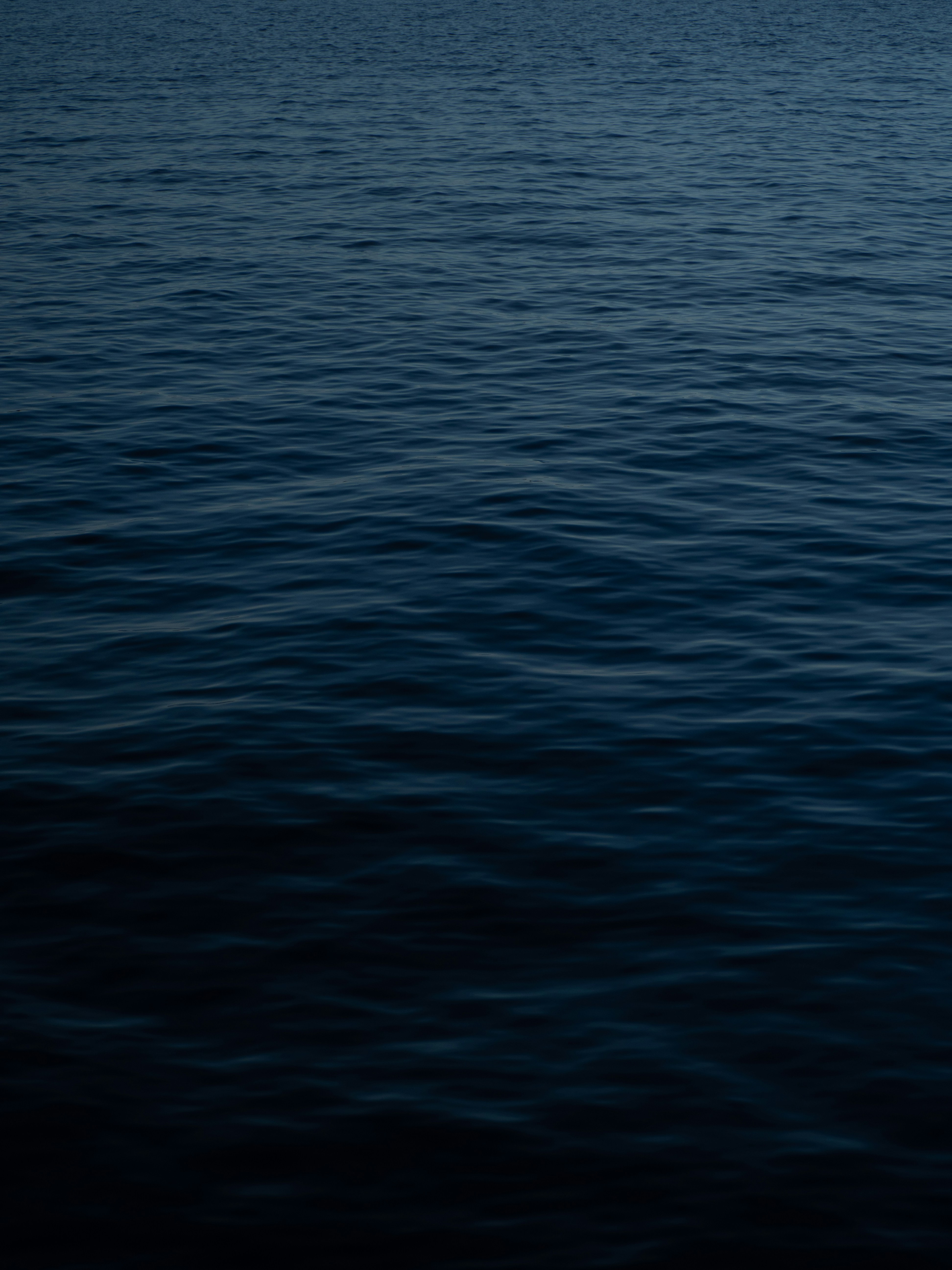 Photo by janifreelancing